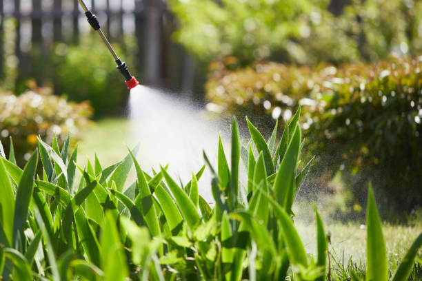 24/7 Emergency Wasp Removal experts in Decatur, IN