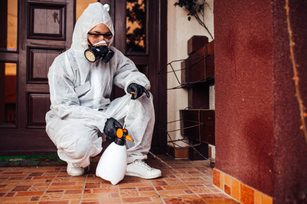Reliable Wasp Removal contractor in Decatur, IN by Show Me Pest Control